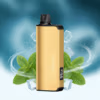 ALIBARBAR INGOT 9000 Puffs - Cool Mint
