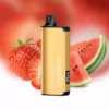 ALIBARBAR INGOT 9000 Puffs - Strawberry Watermelon