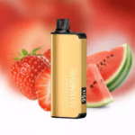 ALIBARBAR INGOT 9000 Puffs - Strawberry Watermelon