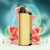 ALIBARBAR INGOT 9000 Puffs - Watermelon Ice