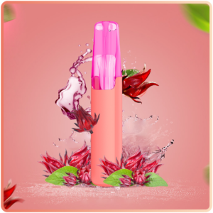 DASH 4,000 Puffs - Hibiscus Ice Tea