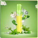 DASH 4,000 Puffs - Jasmine Longjing Tea